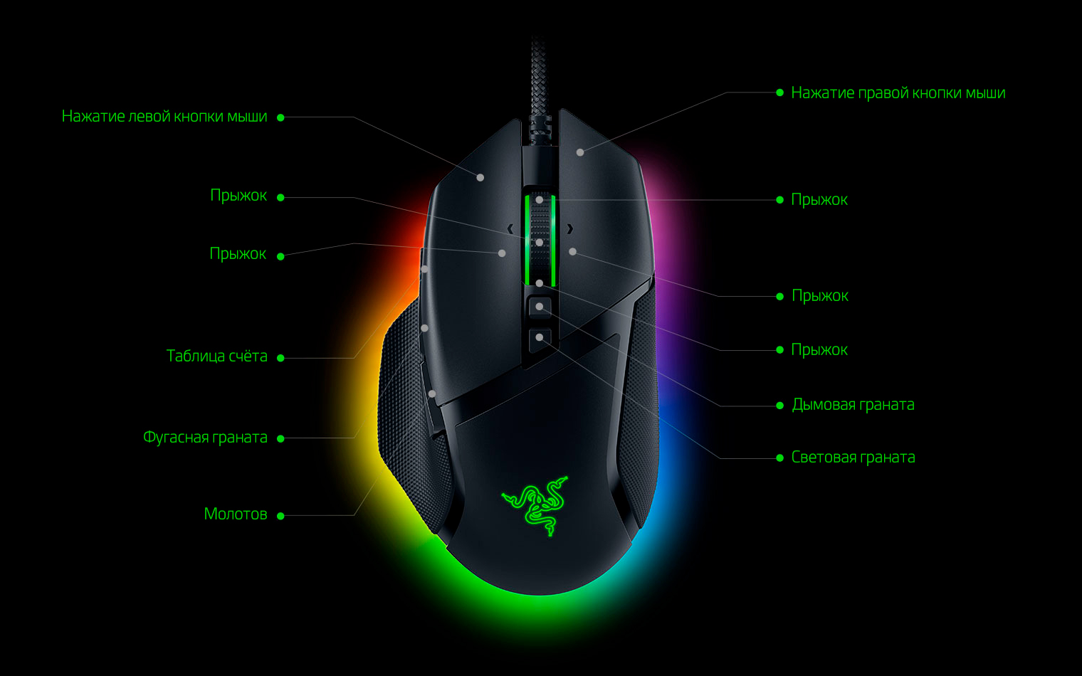 basilisk mouse