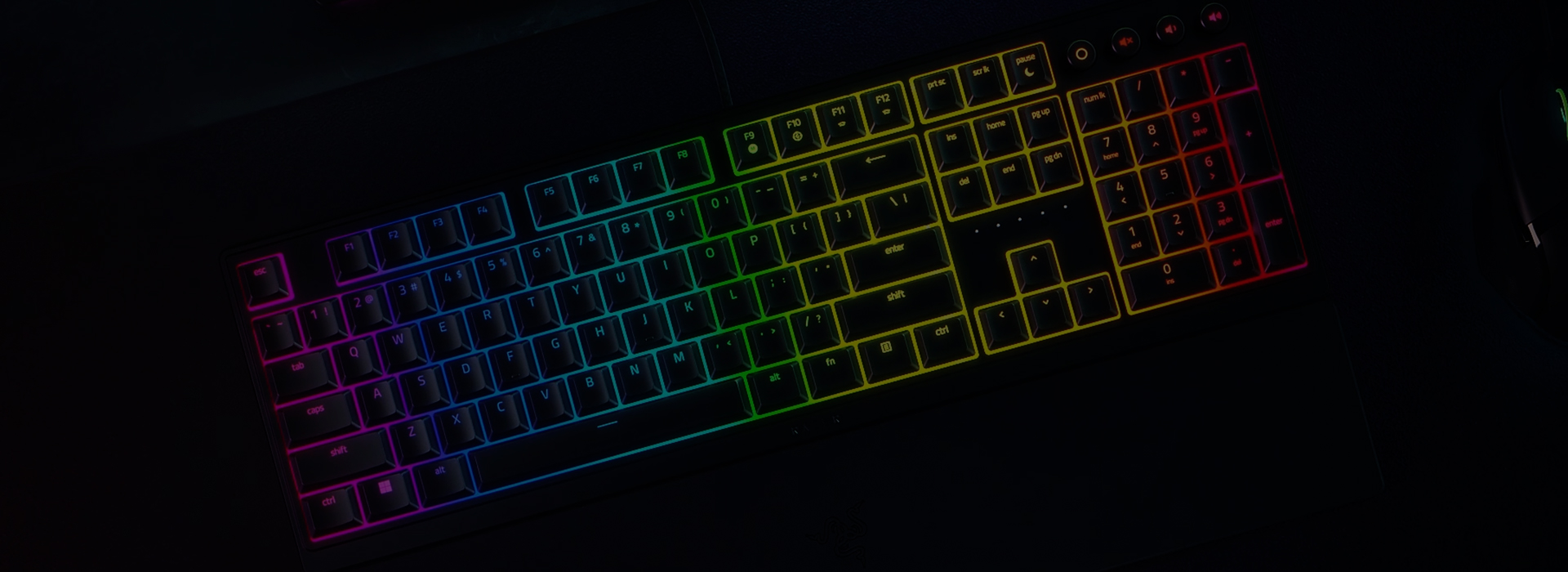 Razer Ornata V3